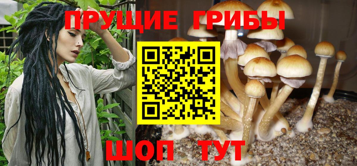 Киров  даркнет сайт  Галлюциногенные грибы Cubensis  Вход с VPN  Псилоцибиновые грибы мухоморы 